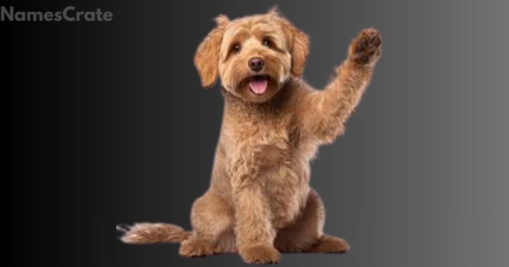 Catchy Brown Dog Names 