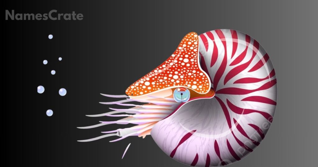 Sea Animals That Start with N