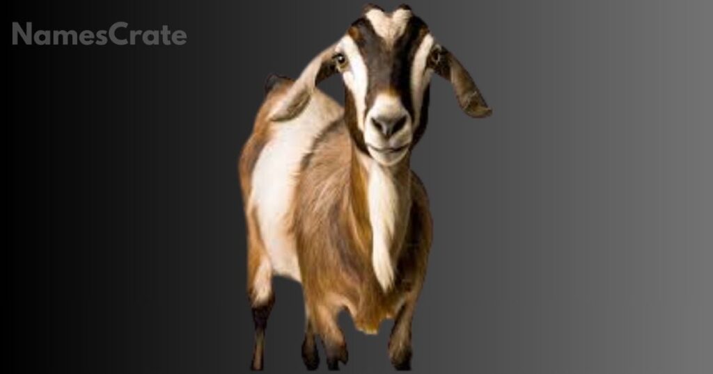 Good Goat Names