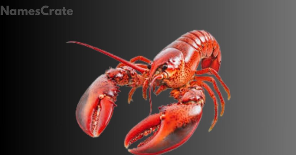 Good Lobster Names