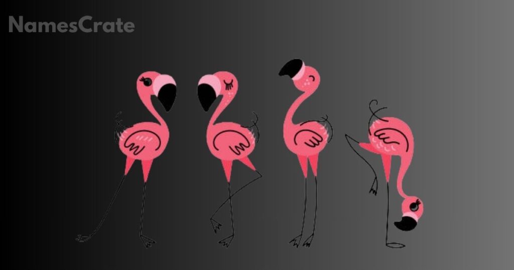 Cute Names for Flamingos