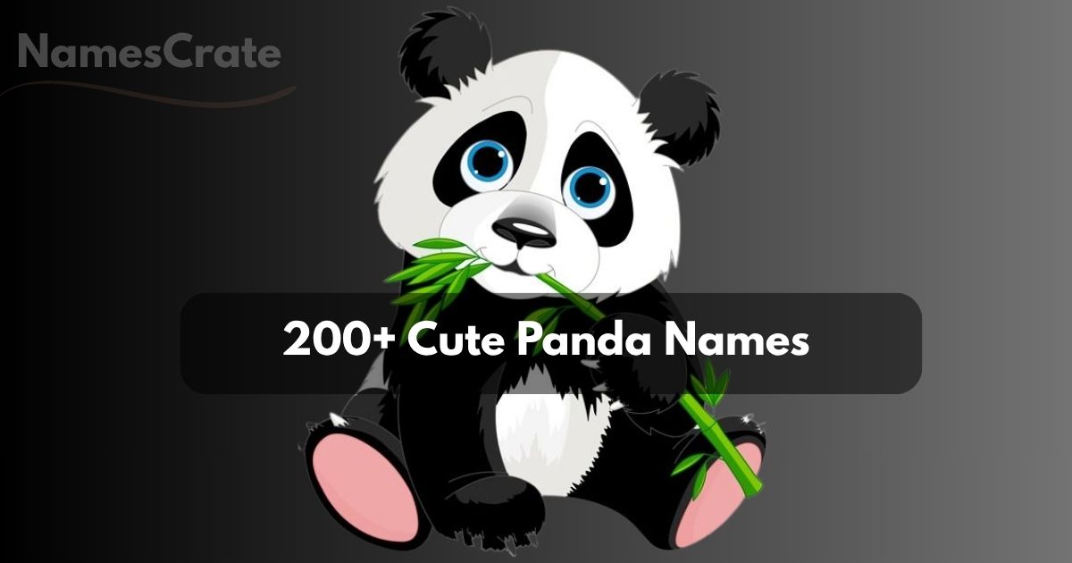 Cute Panda Names