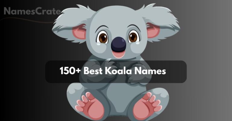Koala Names