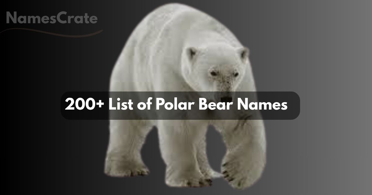 Polar Bear Names