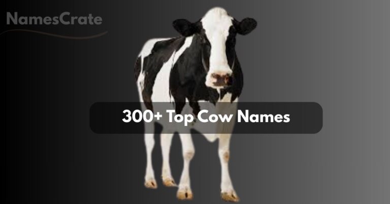 Cow Names