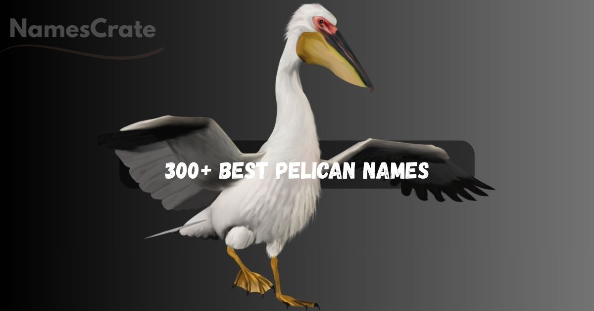 Pelican Names