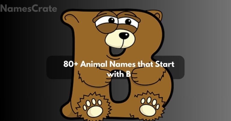 Animal Names that Start with B