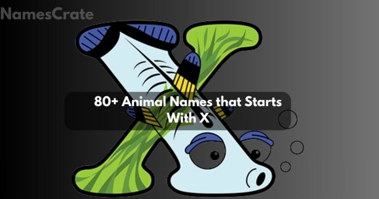 Animal Names that Starts With X