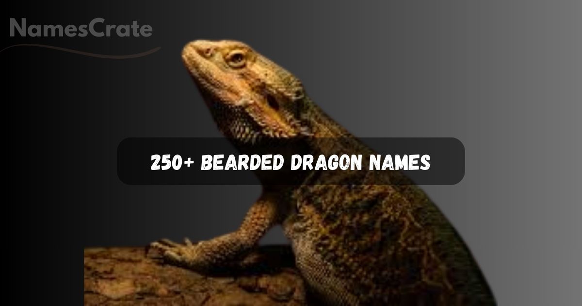 Bearded Dragon Names
