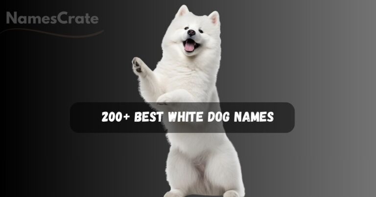 White Dog Names